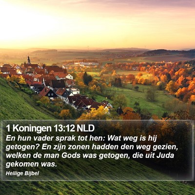 1 Koningen 13:12 NLD Bible Verse Image