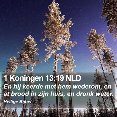1 Koningen 13:19 NLD Bible Verse Image