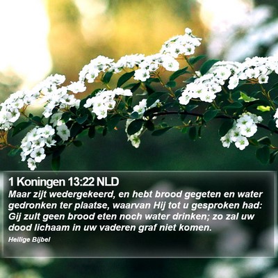 1 Koningen 13:22 NLD Bible Verse Image