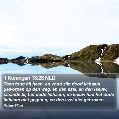 1 Koningen 13:28 NLD Bible Verse Image