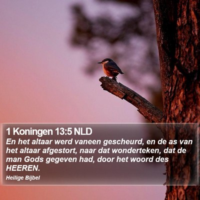 1 Koningen 13:5 NLD Bible Verse Image