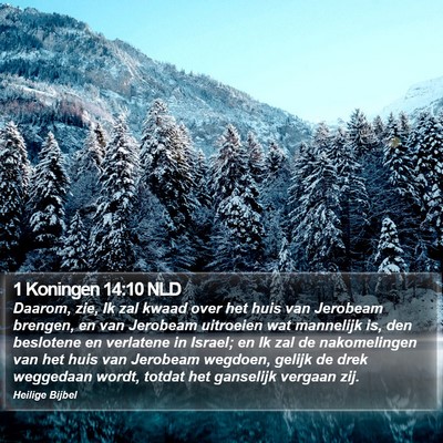 1 Koningen 14:10 NLD Bible Verse Image