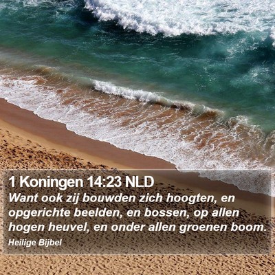 1 Koningen 14:23 NLD Bible Verse Image