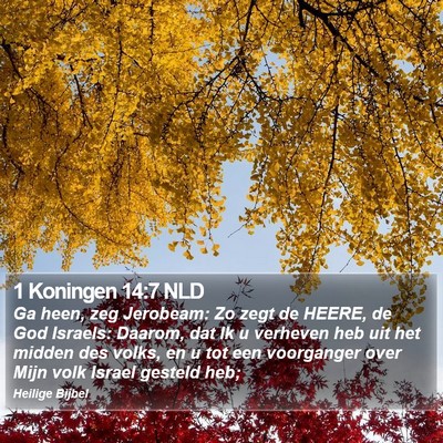 1 Koningen 14:7 NLD Bible Verse Image