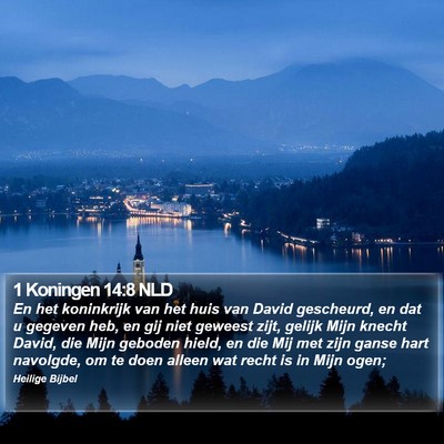 1 Koningen 14:8 NLD Bible Verse Image