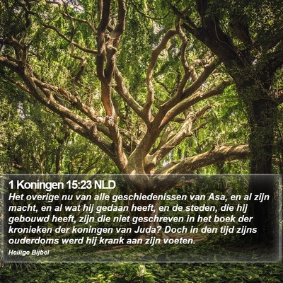 1 Koningen 15:23 NLD Bible Verse Image