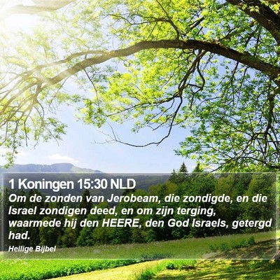 1 Koningen 15:30 NLD Bible Verse Image