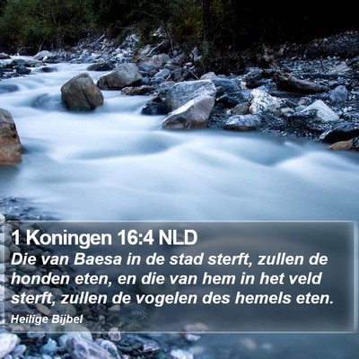 1 Koningen 16:4 NLD Bible Verse Image