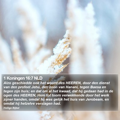 1 Koningen 16:7 NLD Bible Verse Image