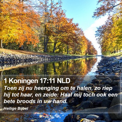 1 Koningen 17:11 NLD Bible Verse Image
