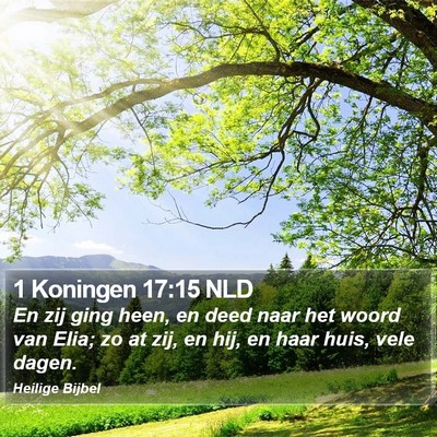 1 Koningen 17:15 NLD Bible Verse Image