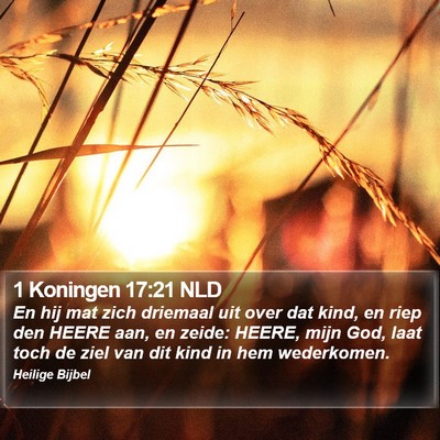 1 Koningen 17:21 NLD Bible Verse Image