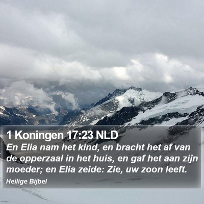 1 Koningen 17:23 NLD Bible Verse Image