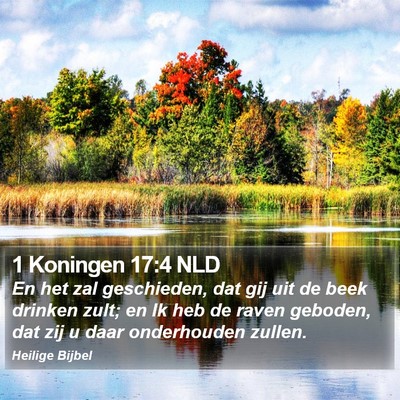 1 Koningen 17:4 NLD Bible Verse Image