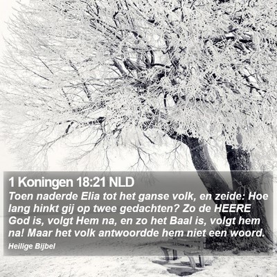 1 Koningen 18:21 NLD Bible Verse Image