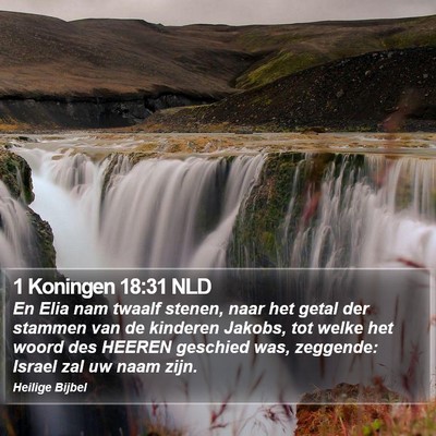 1 Koningen 18:31 NLD Bible Verse Image
