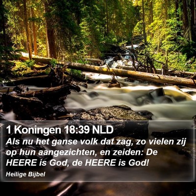 1 Koningen 18:39 NLD Bible Verse Image