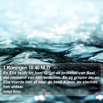 1 Koningen 18:40 NLD Bible Verse Image