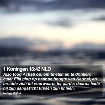 1 Koningen 18:42 NLD Bible Verse Image