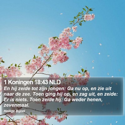 1 Koningen 18:43 NLD Bible Verse Image