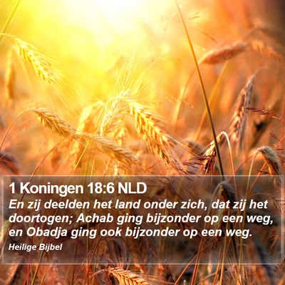 1 Koningen 18:6 NLD Bible Verse Image