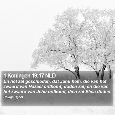 1 Koningen 19:17 NLD Bible Verse Image