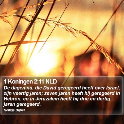 1 Koningen 2:11 NLD Bible Verse Image