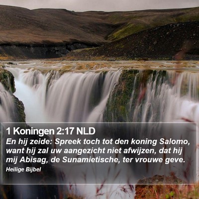 1 Koningen 2:17 NLD Bible Verse Image