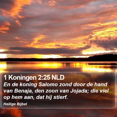 1 Koningen 2:25 NLD Bible Verse Image