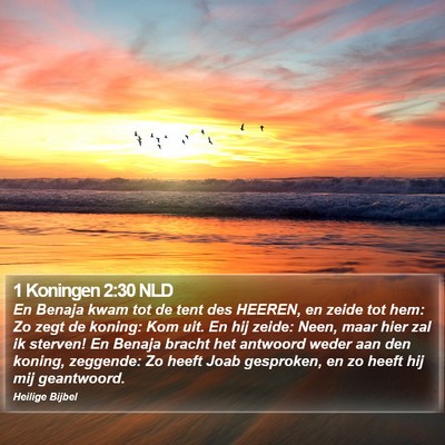 1 Koningen 2:30 NLD Bible Verse Image