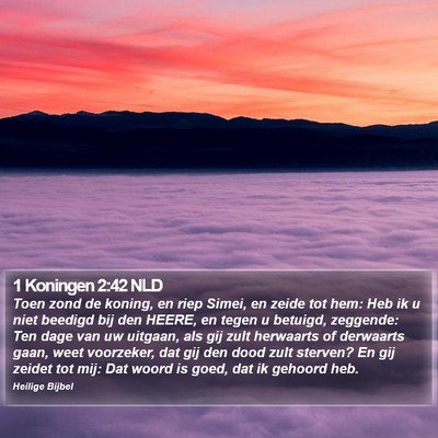 1 Koningen 2:42 NLD Bible Verse Image