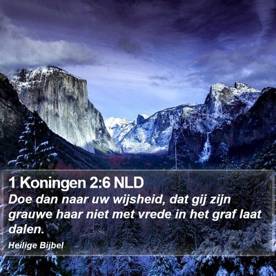 1 Koningen 2:6 NLD Bible Verse Image
