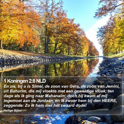 1 Koningen 2:8 NLD Bible Verse Image