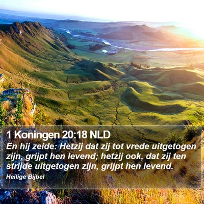 1 Koningen 20:18 NLD Bible Verse Image