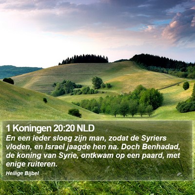 1 Koningen 20:20 NLD Bible Verse Image