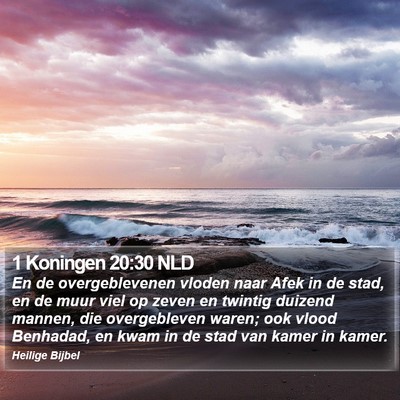 1 Koningen 20:30 NLD Bible Verse Image