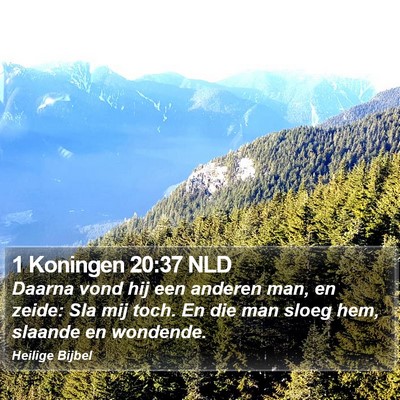 1 Koningen 20:37 NLD Bible Verse Image