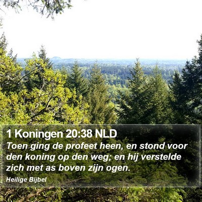 1 Koningen 20:38 NLD Bible Verse Image