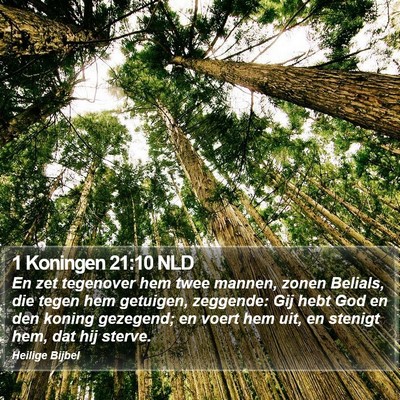 1 Koningen 21:10 NLD Bible Verse Image