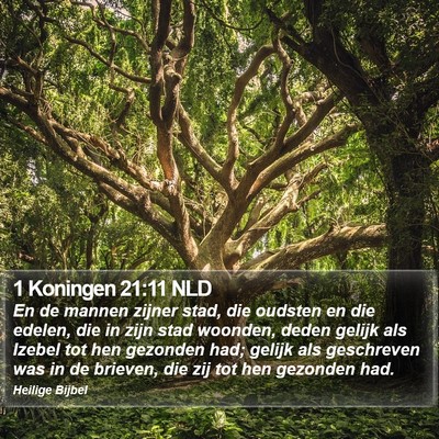 1 Koningen 21:11 NLD Bible Verse Image