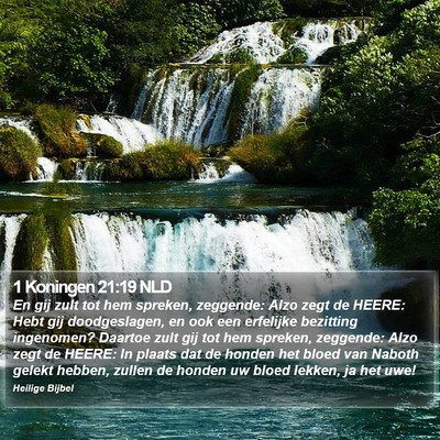 1 Koningen 21:19 NLD Bible Verse Image