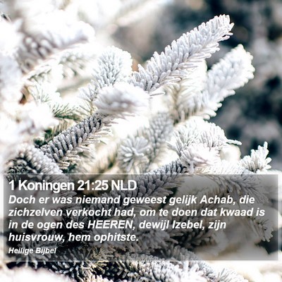 1 Koningen 21:25 NLD Bible Verse Image