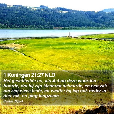 1 Koningen 21:27 NLD Bible Verse Image