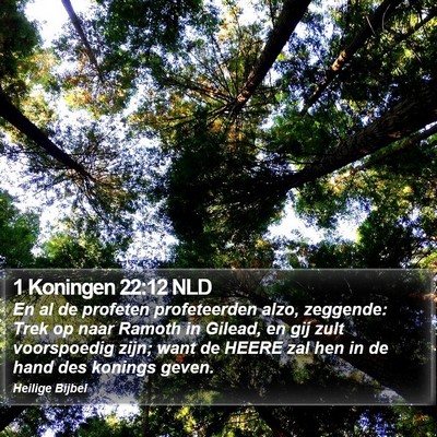 1 Koningen 22:12 NLD Bible Verse Image
