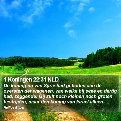 1 Koningen 22:31 NLD Bible Verse Image