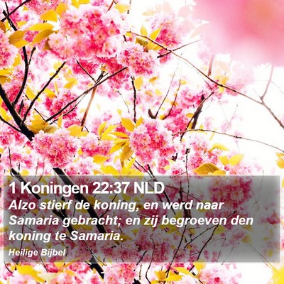 1 Koningen 22:37 NLD Bible Verse Image