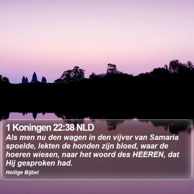 1 Koningen 22:38 NLD Bible Verse Image