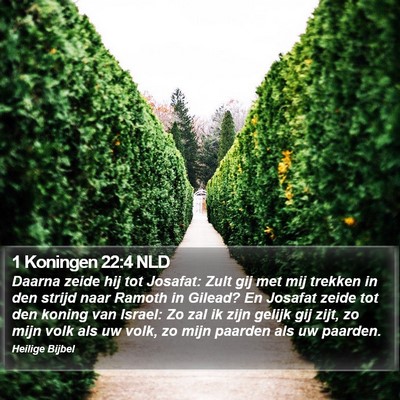 1 Koningen 22:4 NLD Bible Verse Image
