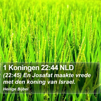 1 Koningen 22:44 NLD Bible Verse Image