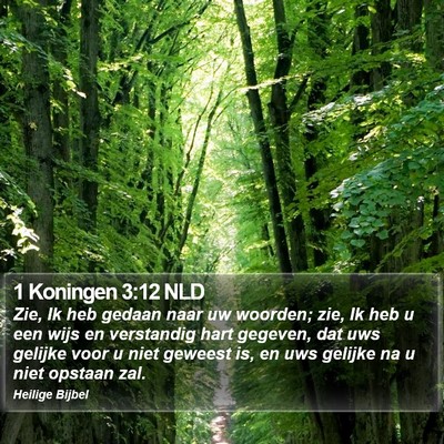 1 Koningen 3:12 NLD Bible Verse Image